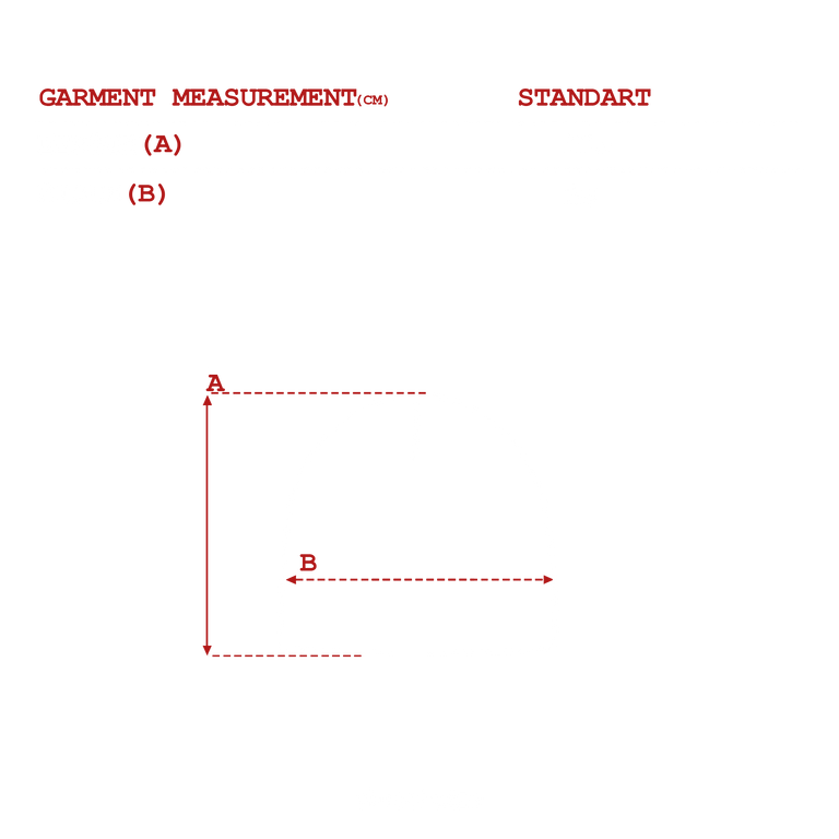 measurements_img