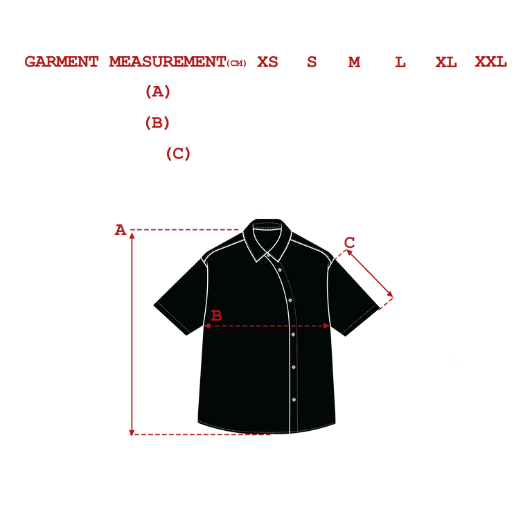 measurements_img