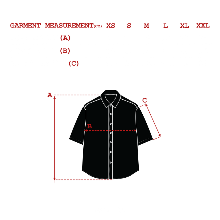 measurements_img