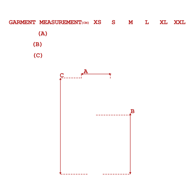 measurements_img