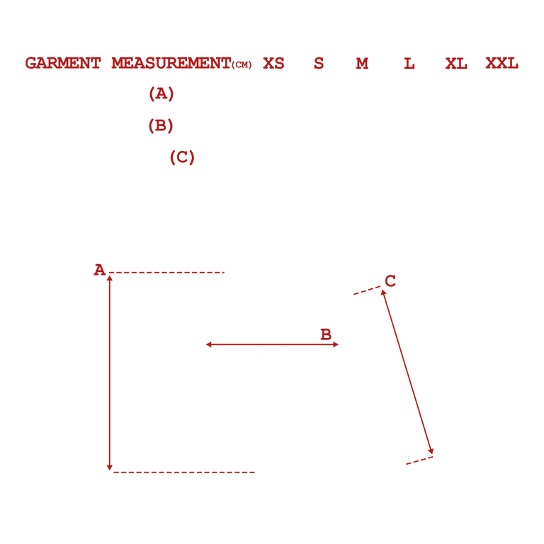 measurements_img