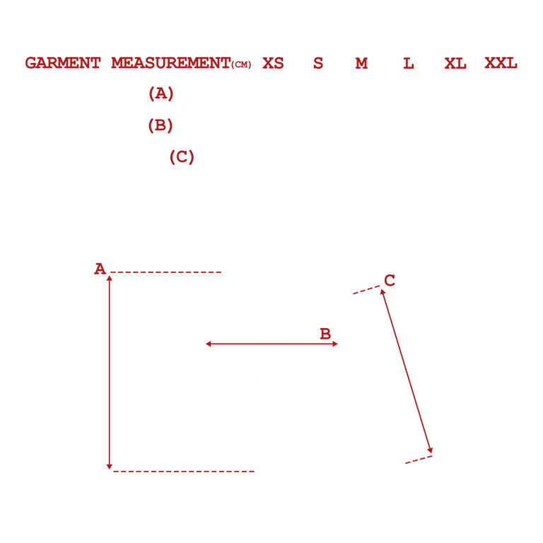 measurements_img