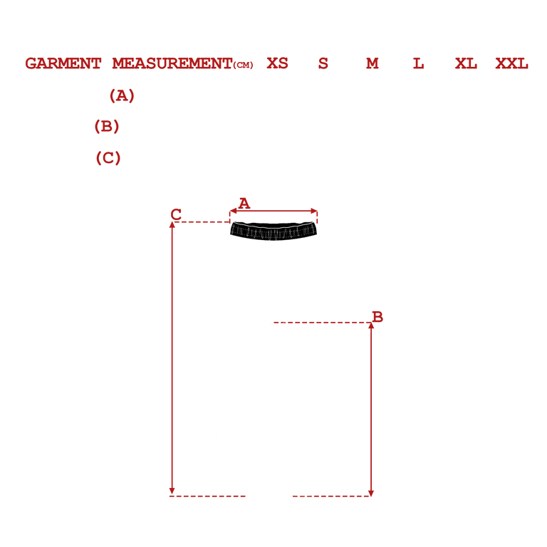 measurements_img