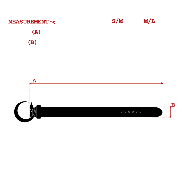 measurements_img