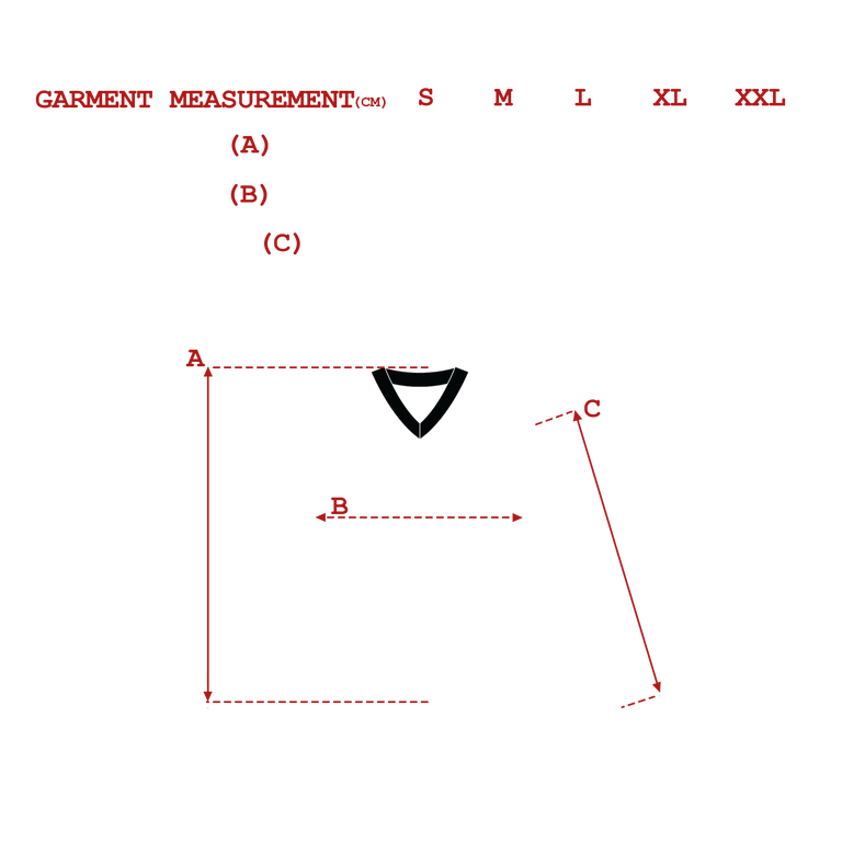 measurements_img